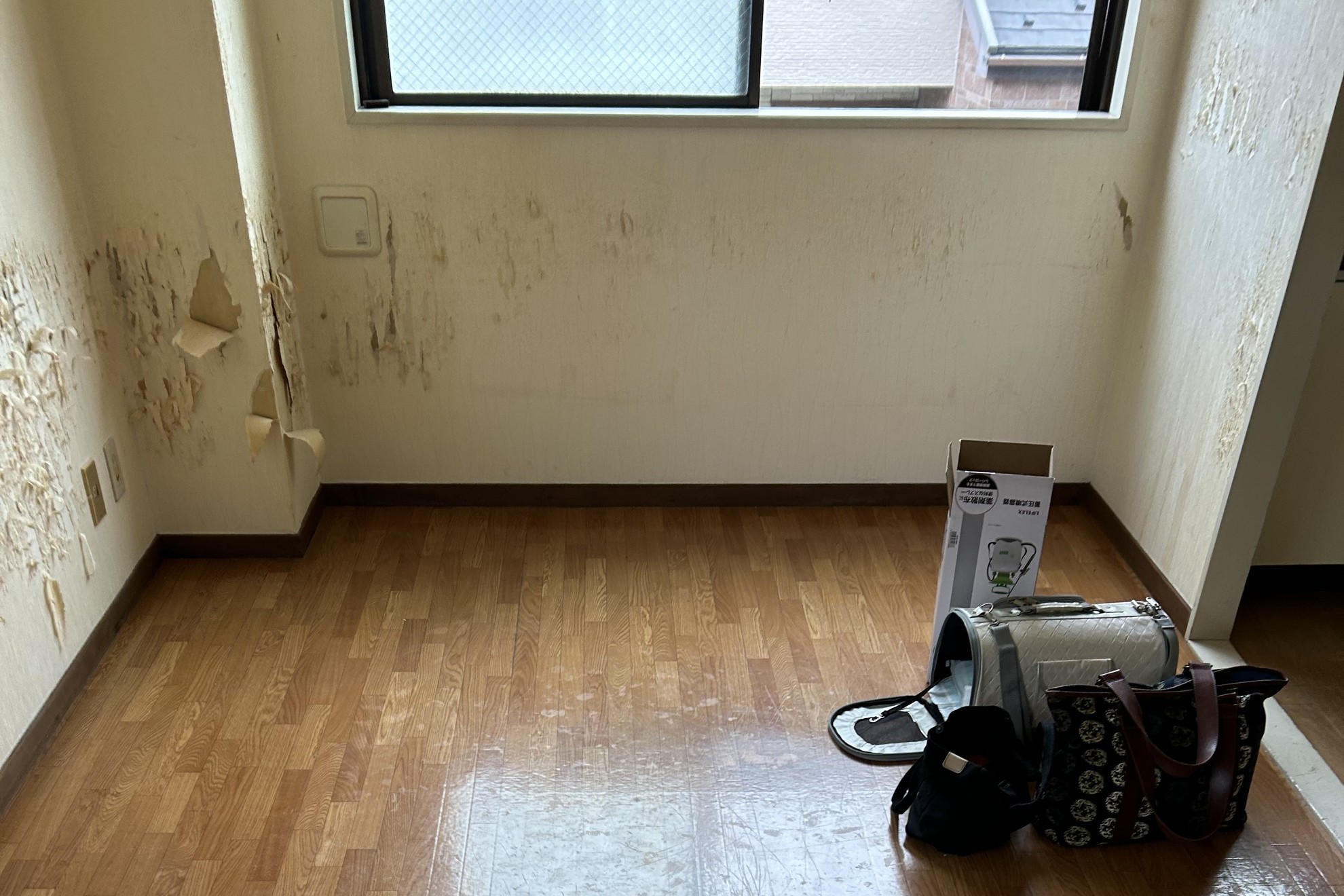 賃貸物件の退去後の室内の様子